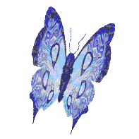 L'ENVOL  DU PAPILLON